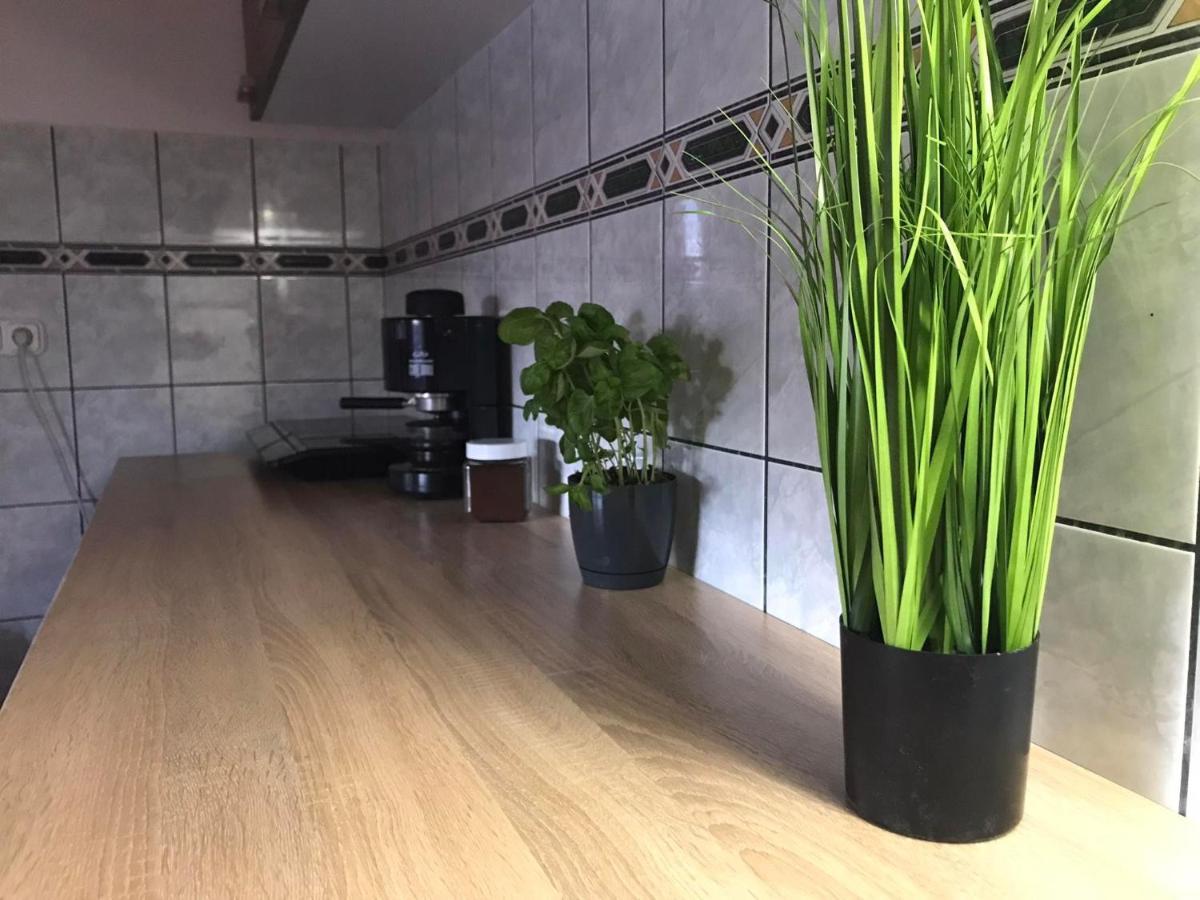 شقة Tahiti Apartman Hajdúszoboszló المظهر الخارجي الصورة